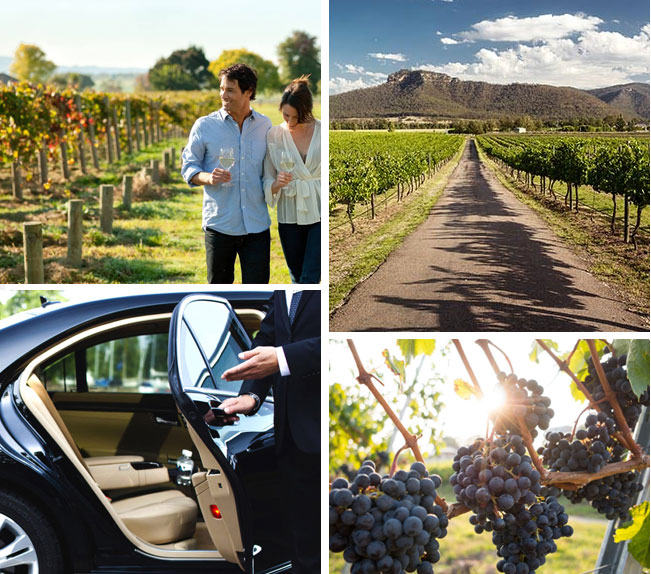 Discover Napa Valley’s Premier Wine Tasting with Limo Black Services 10 Limousine Service in Napa Valley