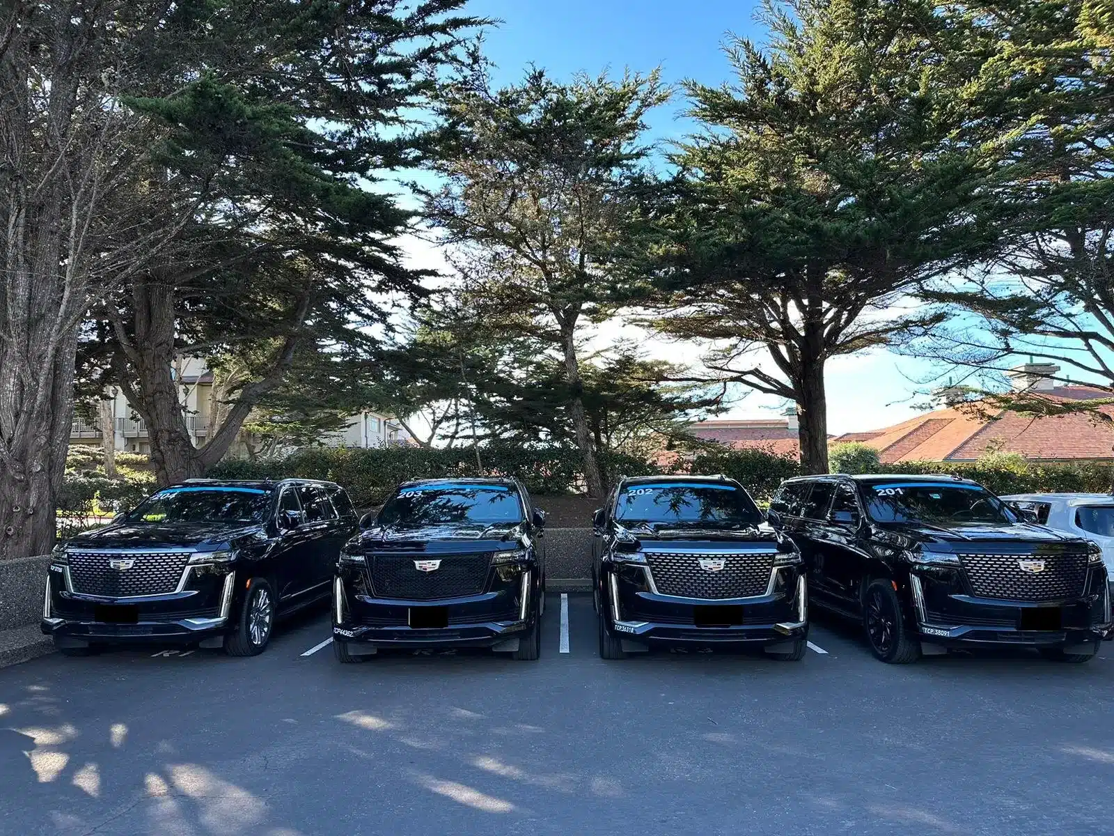 Airport Transfer Service Worldwide sfo 20 image